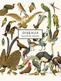 carnet-oiseaux-lecons-de-choses-3260100040598