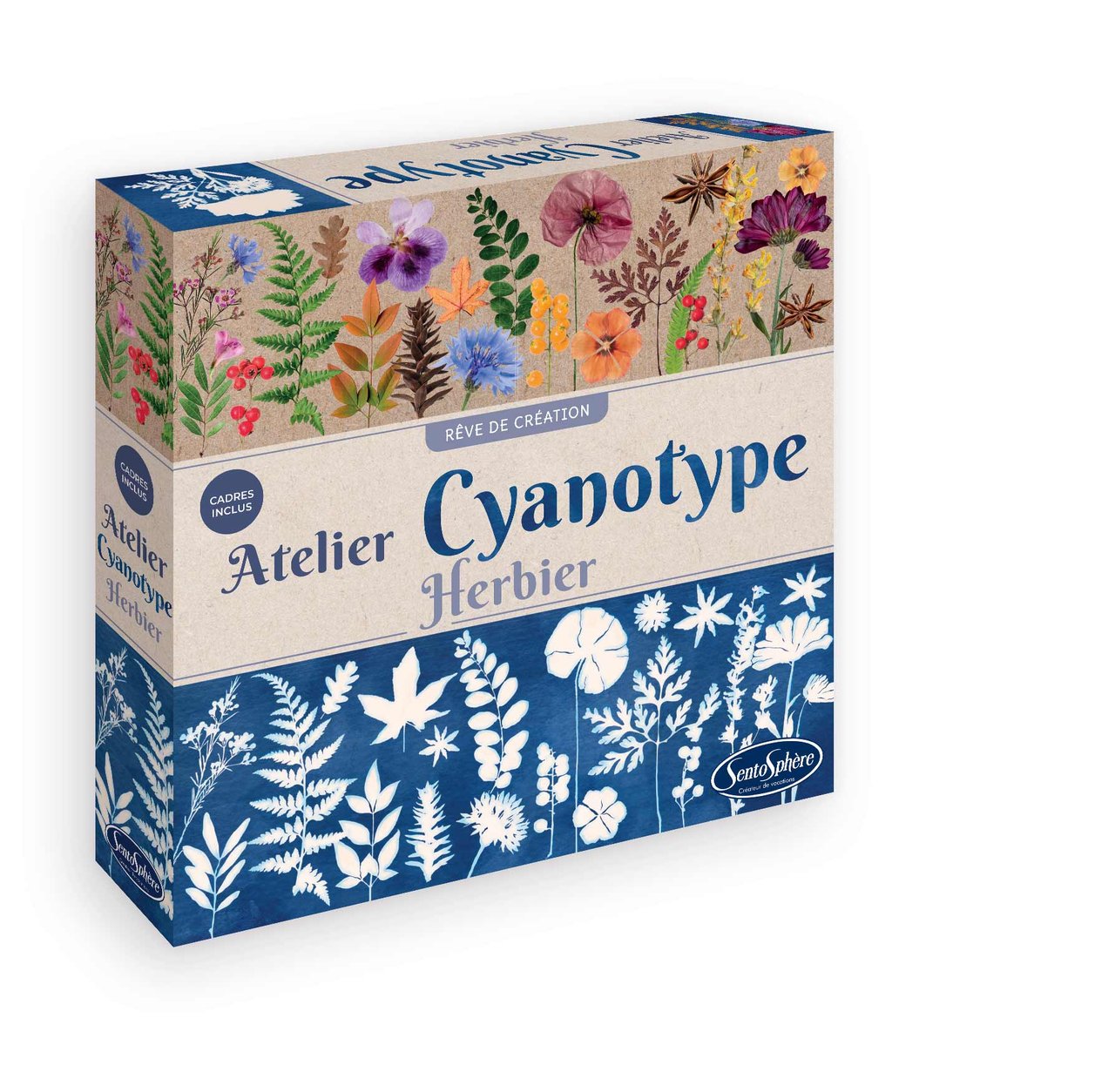 atelier-de-cyanotype-herbier-3373910008396