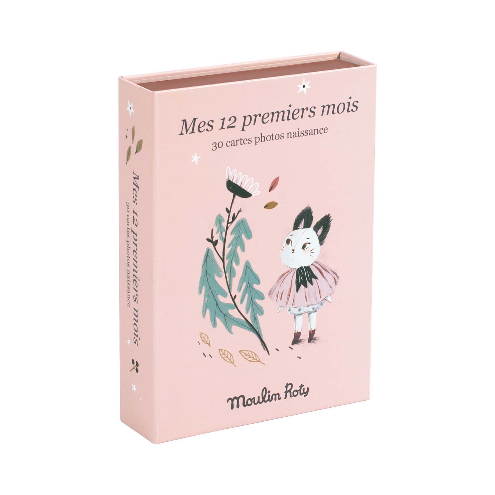 cartes-mes-12-premier-mois-apres-la-pluie-3575677156017
