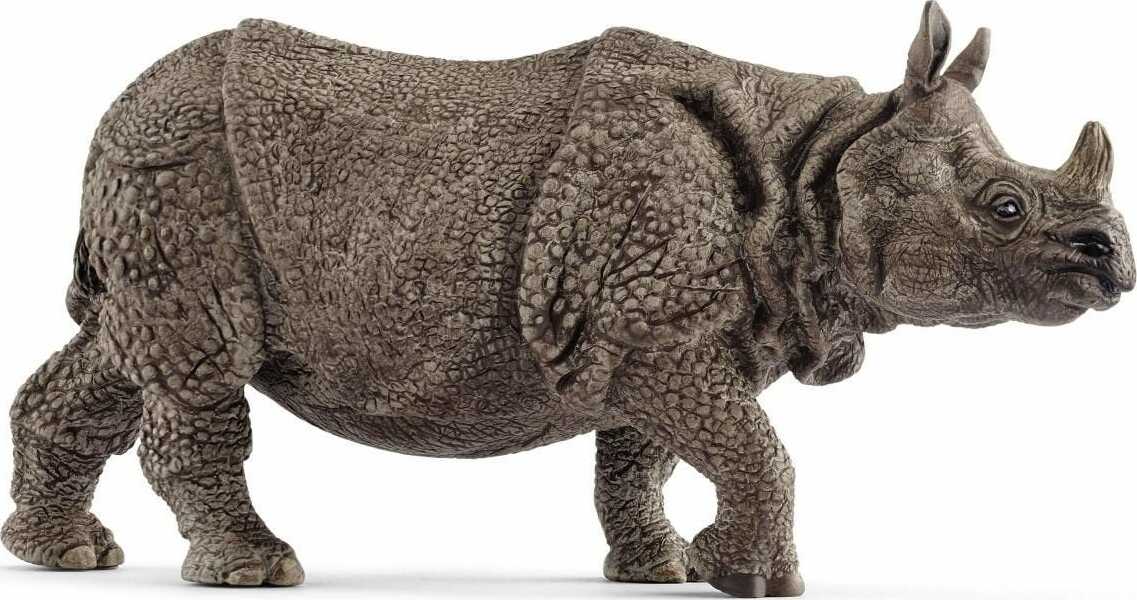 rhinoceros-indien-4055744020841