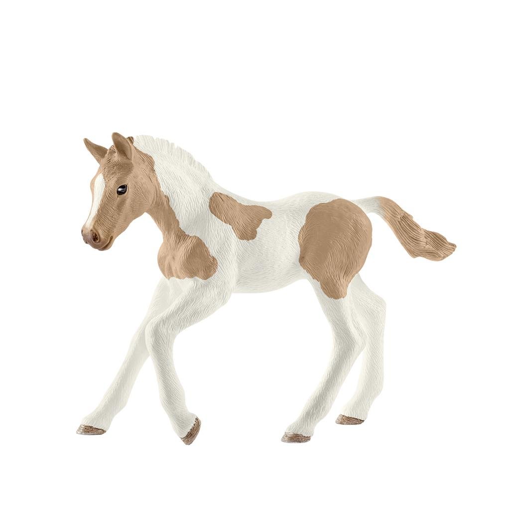 poulain-paint-horse-4059433864068