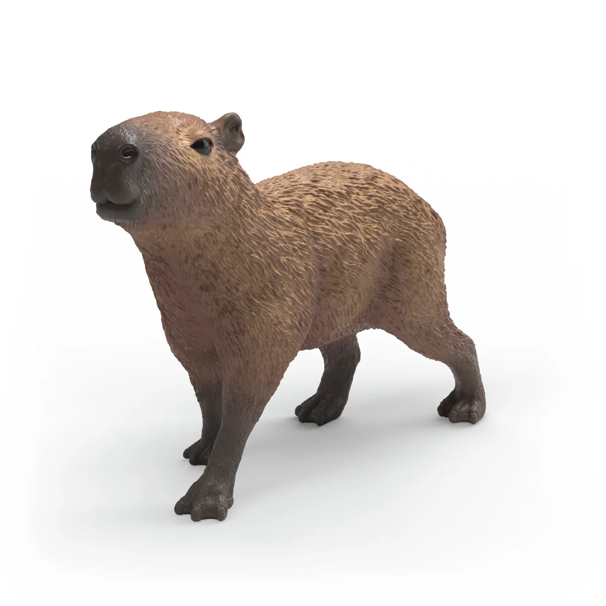 capybara-4069111305929