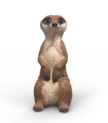 suricate-4069111307527