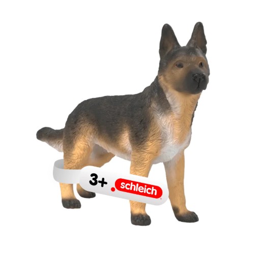 berger-allemand-femelle-4069111317540