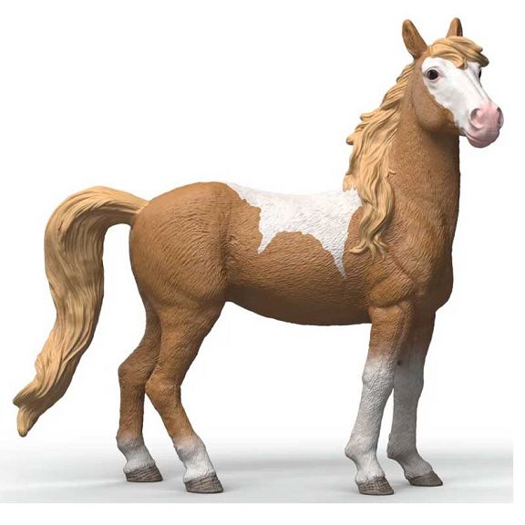 jument-mustang-4069111420448