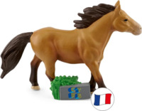 cest-toujours-pas-sorcier-nos-amis-les-animaux-cheval-4251192142733