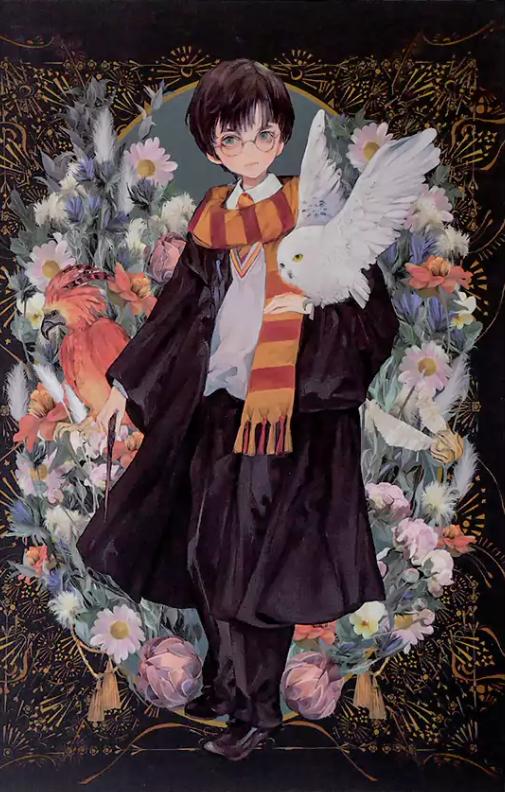 carnet-souple-harry-potter-portrait-4895205609471