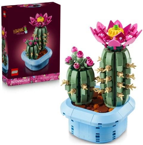 cactus-fleuri-5702018031865