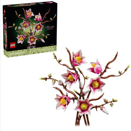 branches-de-magnolia-5702018061848