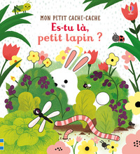 es-tu-la-petit-lapin-mon-petit-cache-cache-9781474945806