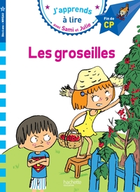 sami-et-julie-cp-niveau-3-les-groseilles-9782012706217