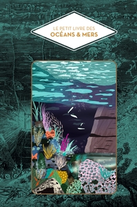 le-petit-livre-des-oceans-et-des-mers-9782017305347