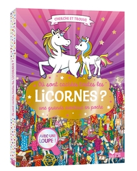 ou-sont-cachees-toutes-les-licornes-une-grande-aventure-en-poche-9782017335542