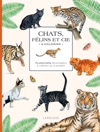 chats-felins-et-cie-a-colorier-9782035953551