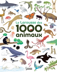le-larousse-des-1000-mots-des-animaux-9782036086142