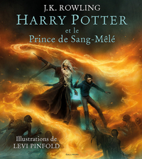 harry-potter-vi-harry-potter-et-le-prince-de-sang-mele-9782075090445