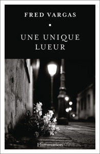 une-unique-lueur-9782080160713