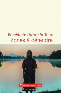zones-a-defendre-9782080493286