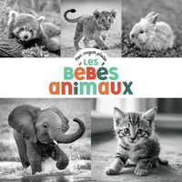 mon-imagier-photos-les-bebes-animaux-9782203303317