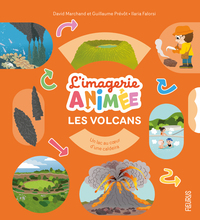 les-volcans-9782215197881