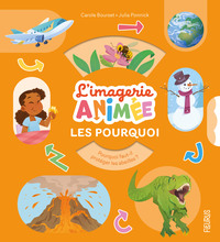 les-pourquoi-9782215198918