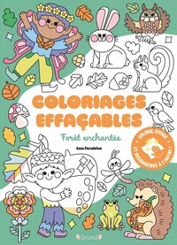 coloriages-effacables-foret-enchantee-9782324039317