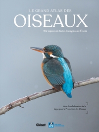 le-grand-atlas-des-oiseaux-2e-edition-9782344078129