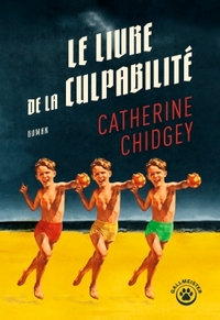 le-livre-de-la-culpabilite-9782351783856