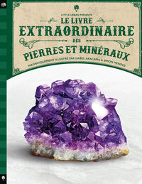le-livre-extraordinaire-des-pierres-et-mineraux-9782374082271