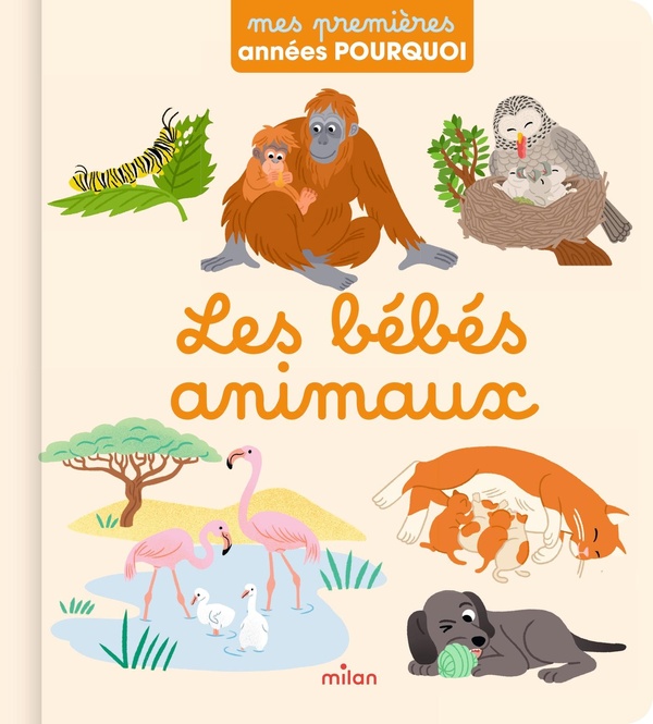 les-bebes-animaux-9782408057008