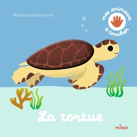 la-tortue-9782408063658