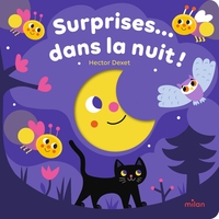 surprises-dans-la-nuit-9782408066727