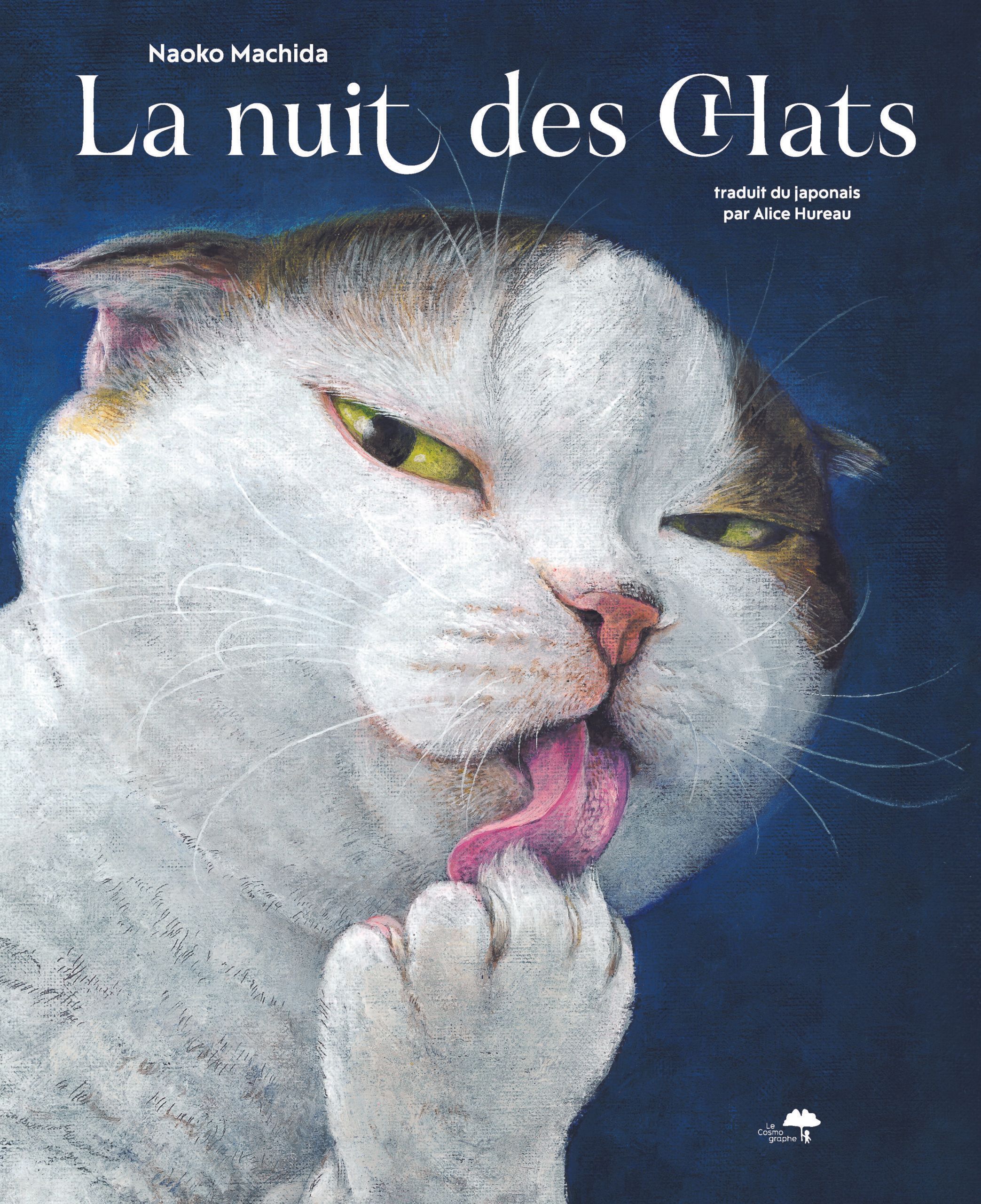 la-nuit-des-chats-illustrations-couleur-9782490102617
