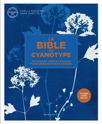 la-bible-du-cyanotype-techniques-idees-et-astuces-pour-creer-des-pieces-uniques-9782501205931