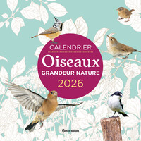 calendrier-oiseaux-grandeur-nature-2026-9782815323307