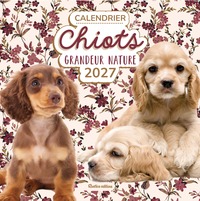 calendrier-chiots-grandeur-nature-2027-9782815325066