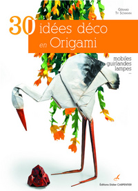 30-idees-deco-en-origami-9782841676750