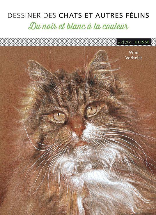 dessiner-des-chats-et-autres-felins-9782844152633