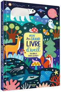 mon-tres-grand-livre-deveil-qui-brille-dans-la-nuit-9791039579810