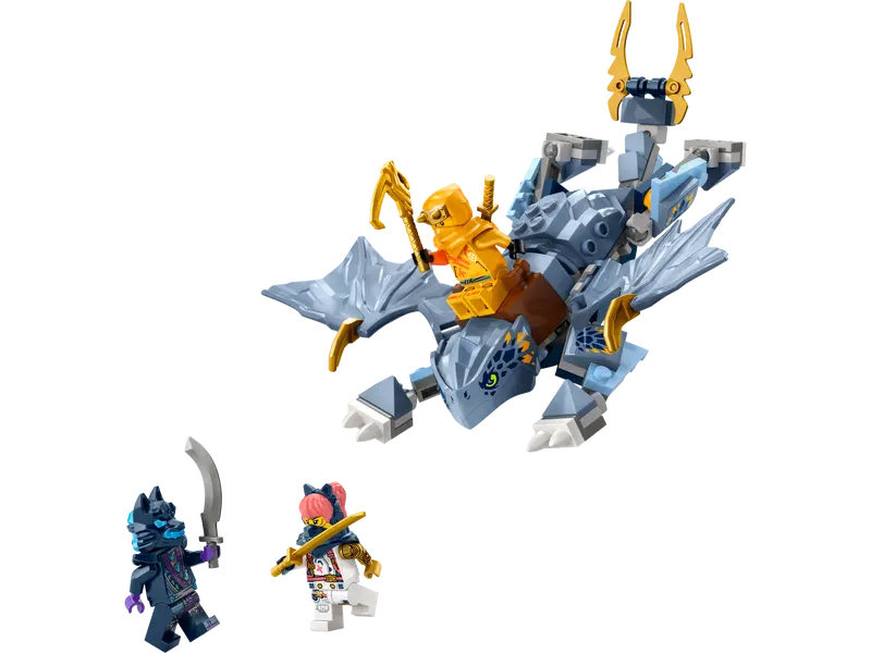 LE-JEUNE-DRAGON-DE-RIYU-1