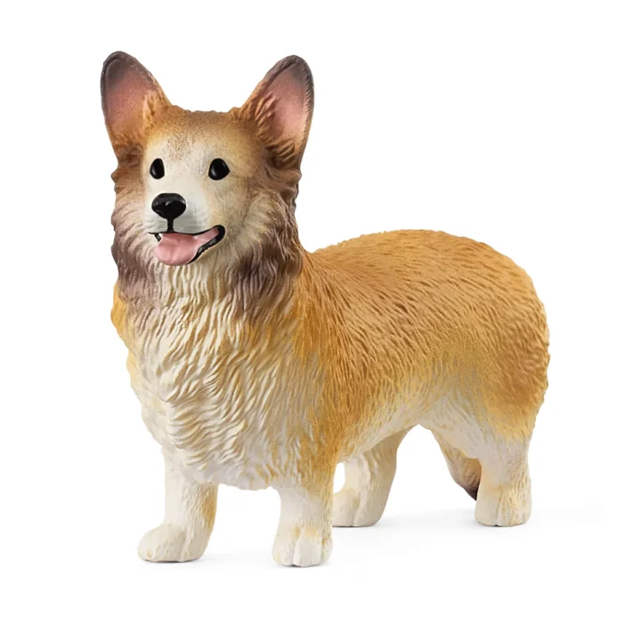 CHIEN-WELSH-CORGI