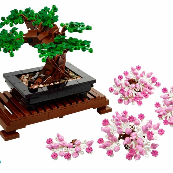 BONSAI-1