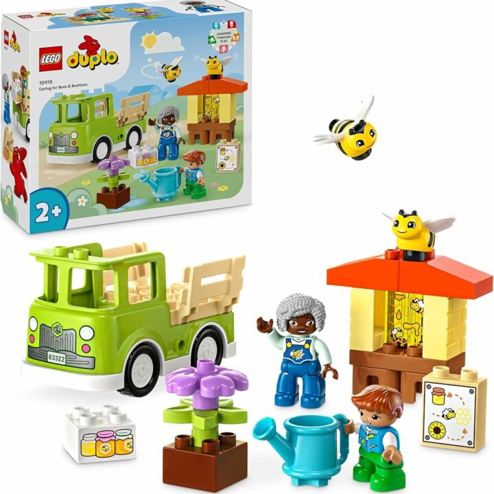 ABEILLES-ET-RUCHES-DUPLO-1