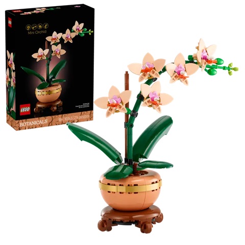 ORCHIDEE-MINIATURE-BOTANIC-1
