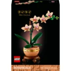 ORCHIDEE-MINIATURE-BOTANIC