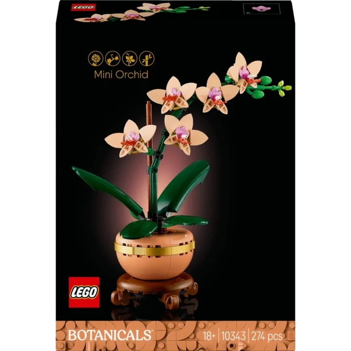 ORCHIDEE-MINIATURE-BOTANIC