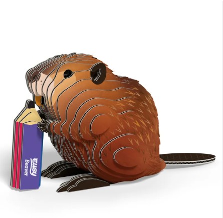 EUGY-3D-MODELE-ANIMAL-SAUVAGE-CASTOR-1