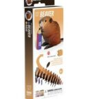 EUGY-3D-MODELE-ANIMAL-SAUVAGE-CASTOR